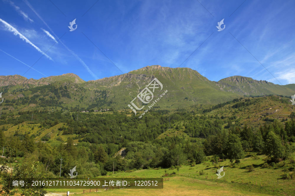 阿爾卑斯山的田野和草地。
