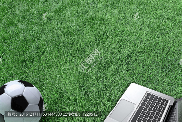 綠色草地上的筆記本電腦