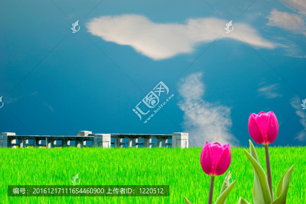 春天新鮮的郁金香和漂亮的背景