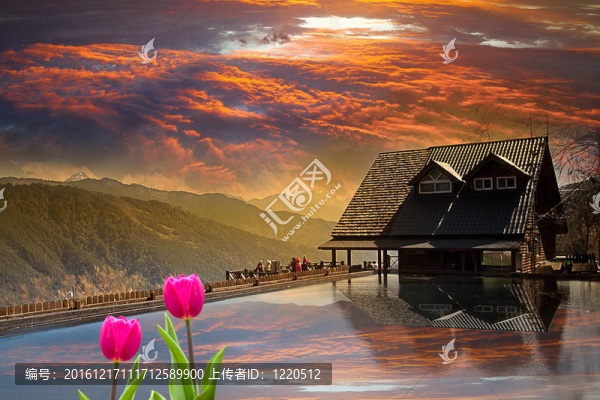 春天新鮮的郁金香和漂亮的背景