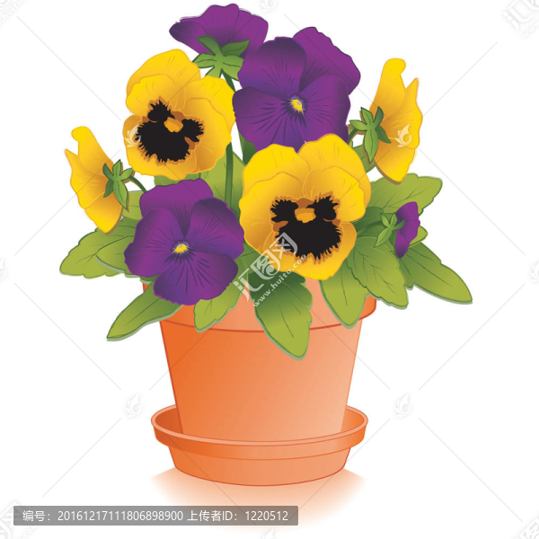 紫色的紫羅蘭；黃金；Clay,Flowerpot