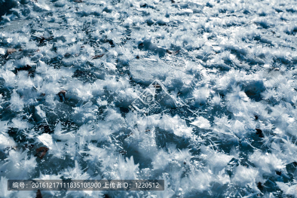 冰冷的雪花
