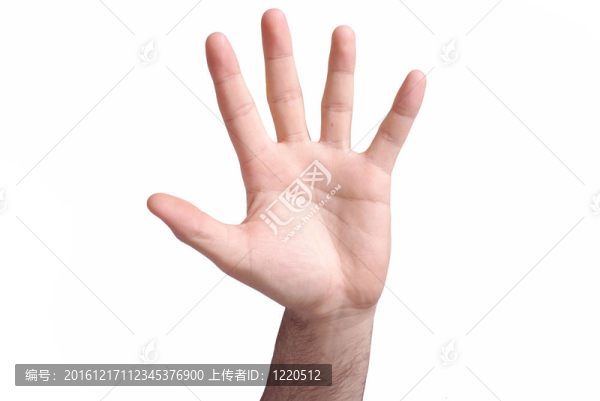 男性手征。分離
