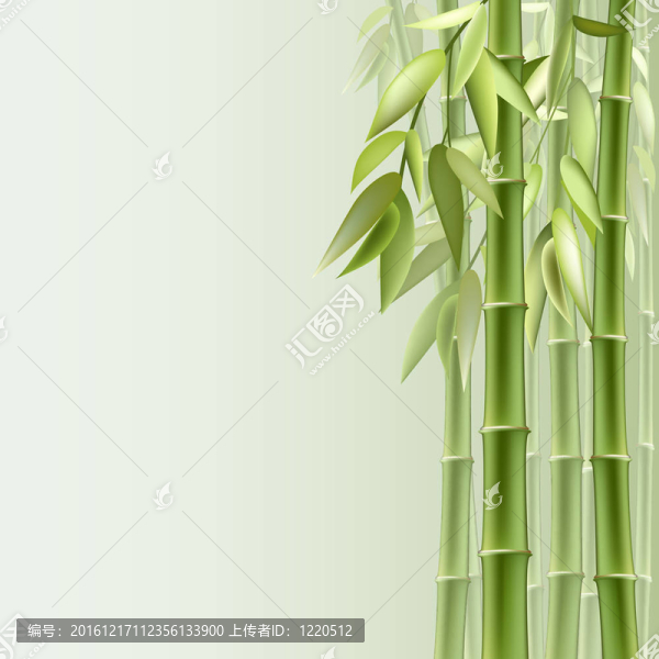 竹的背景