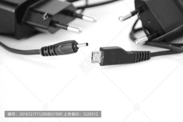 兩種不同類型插頭的電池充電器