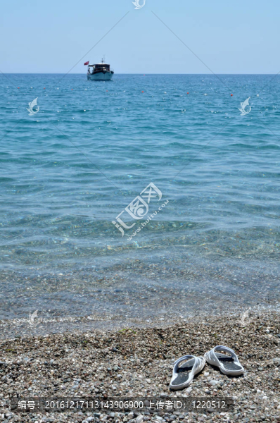 海
