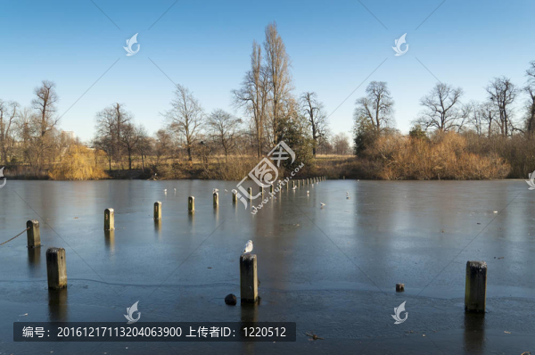 蛇紋石湖；海德公園；倫敦
