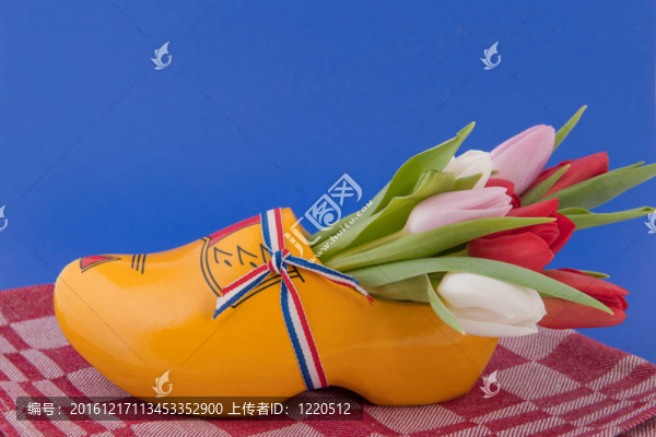 荷蘭設(shè)計(jì)