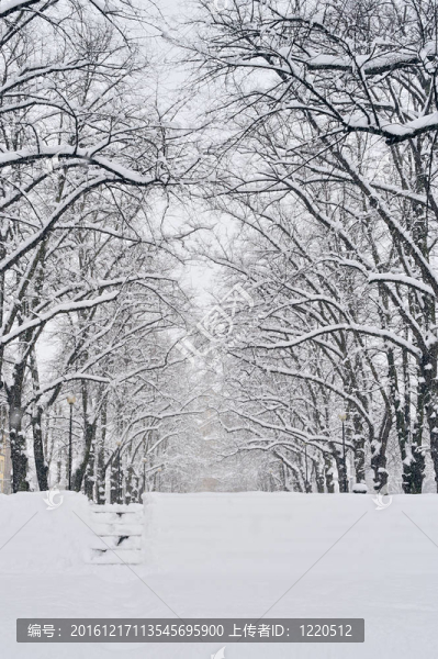 下雪的公園