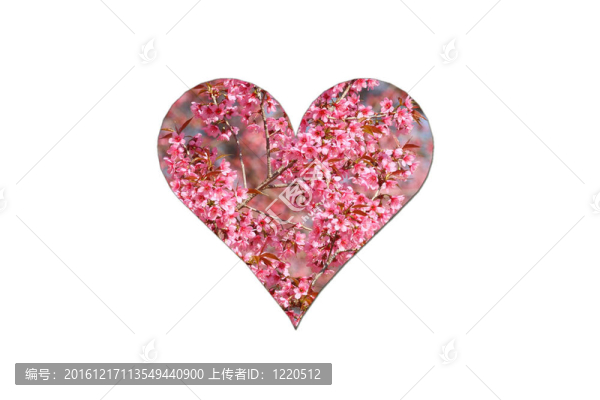 粉紅色的心