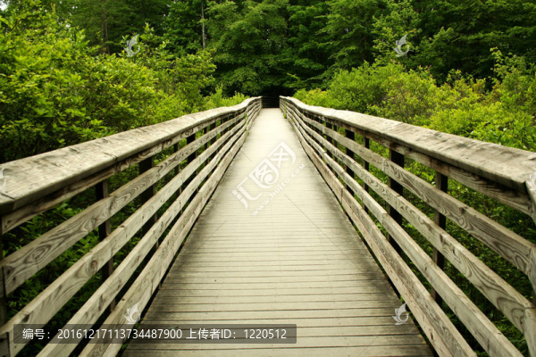 穿過(guò)森林的木橋