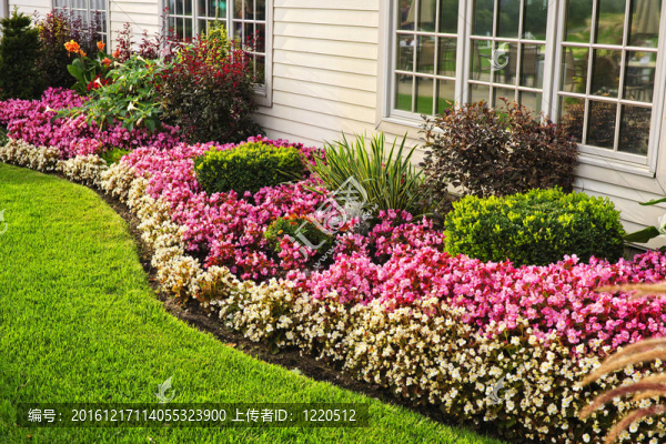 豐富多彩的花園
