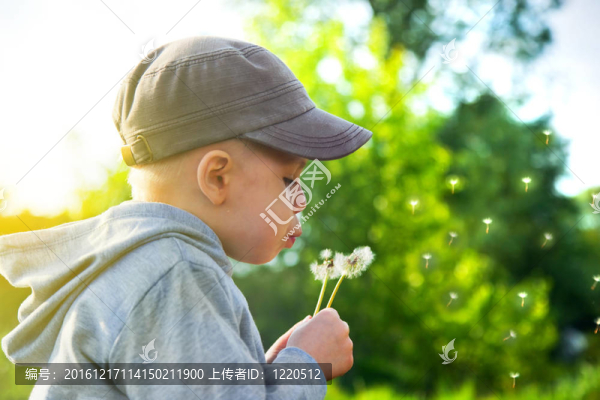 可愛的孩子吹蒲公英