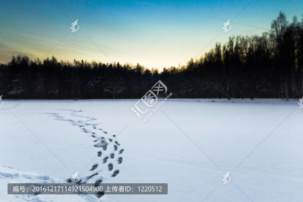 腳步在雪