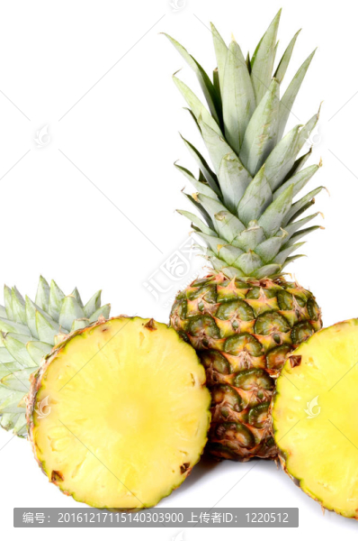 菠蘿