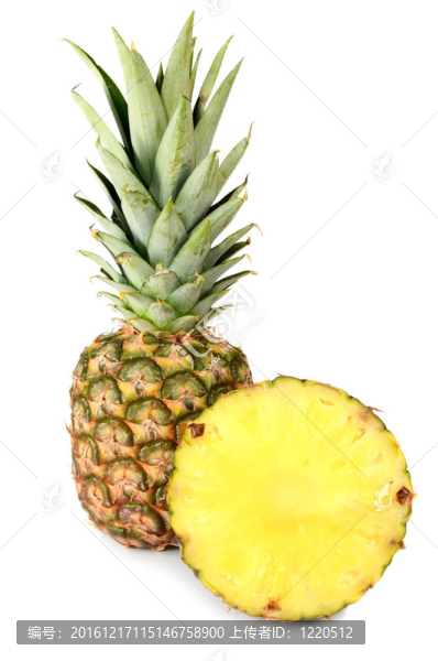 菠蘿