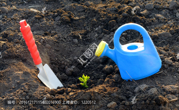 植物澆水池和園林鏟