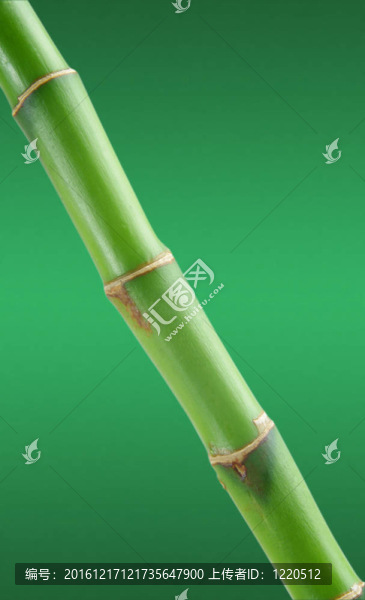 竹