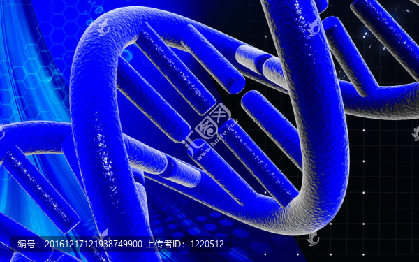 DNA