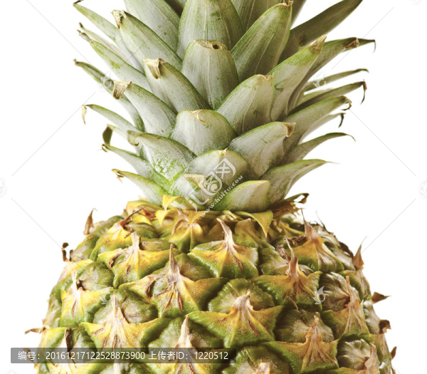 pinneaple