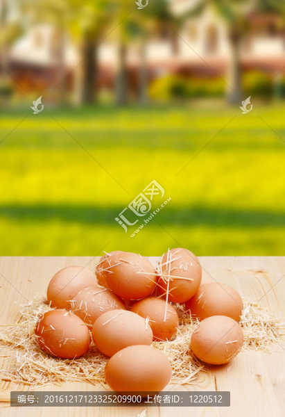 村eggs.jpg