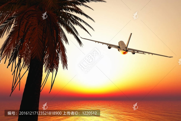 飛機(jī)離開熱帶天堂