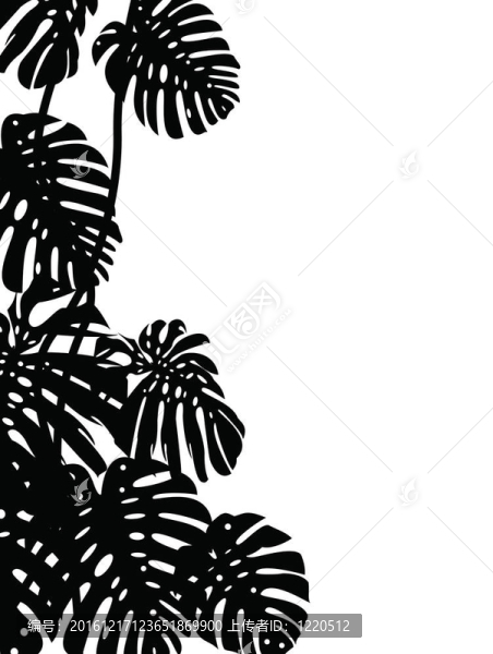 熱帶樹葉背景