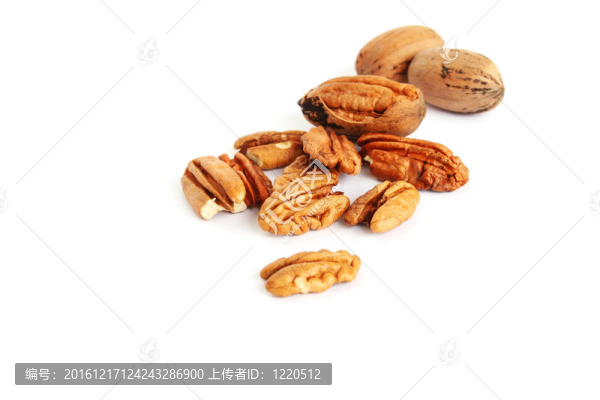 美洲山核桃