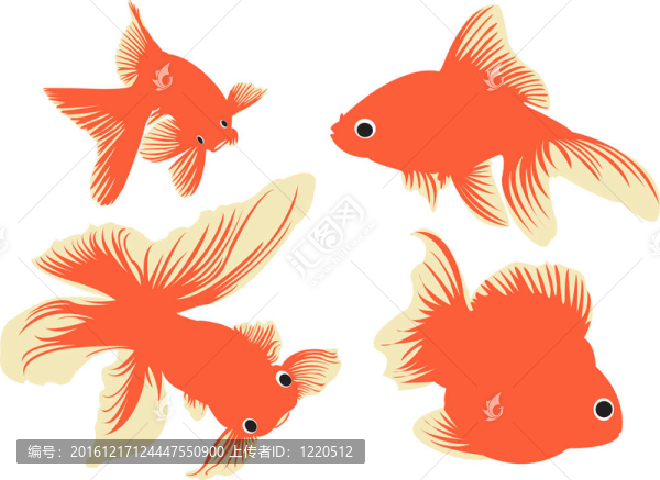 金魚。