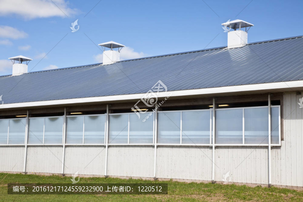 現(xiàn)代的Dairy,Barn