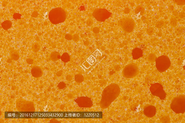 海綿的細節(jié)