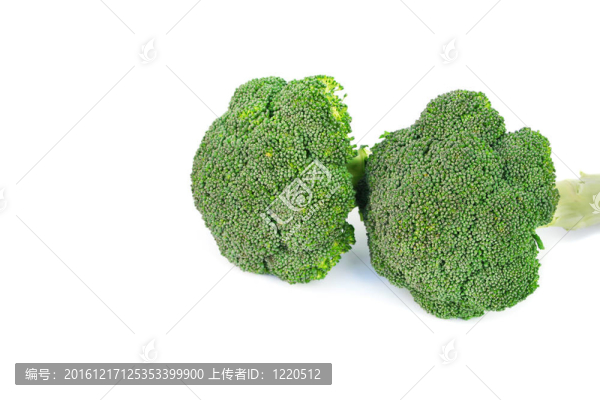 西蘭花