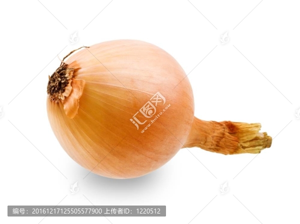 單一的洋蔥