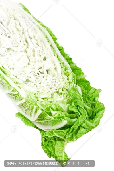 白菜北京