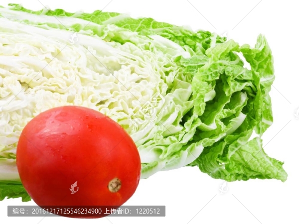 蔬菜