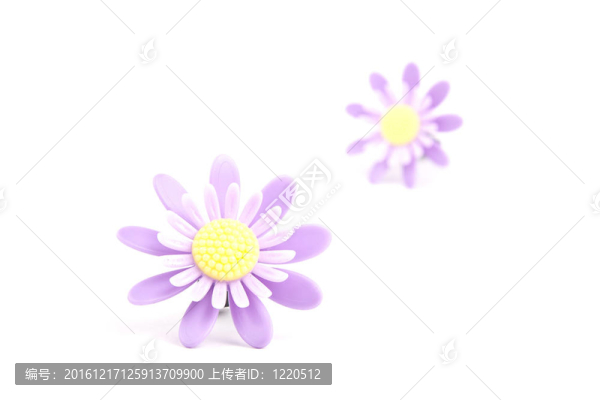 彩色的花