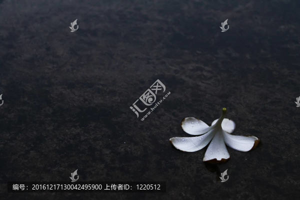 下雨天的雞蛋