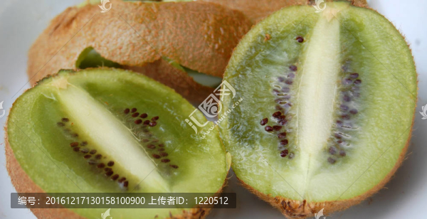 幾維鳥(niǎo)
