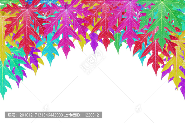 彩色番木瓜葉紋理。