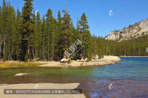 山中淺湖