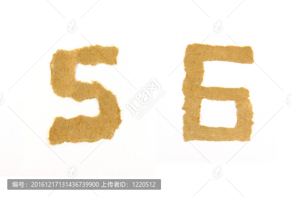 撕紙5和6