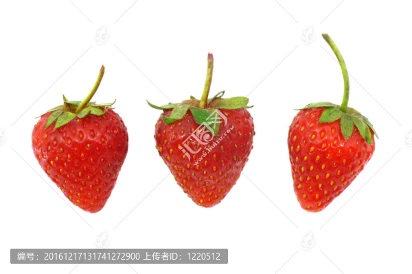 三草莓