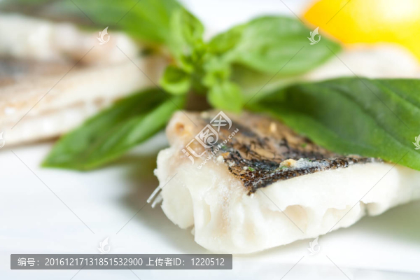 梭鱸魚片羅勒特寫