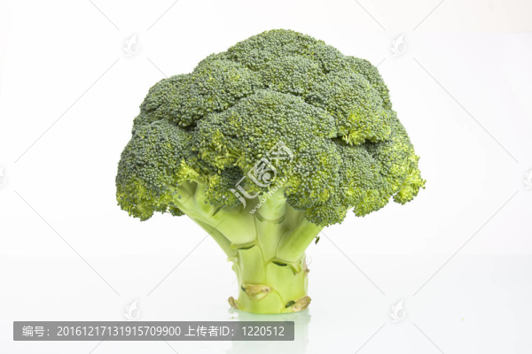 新鮮的西蘭花