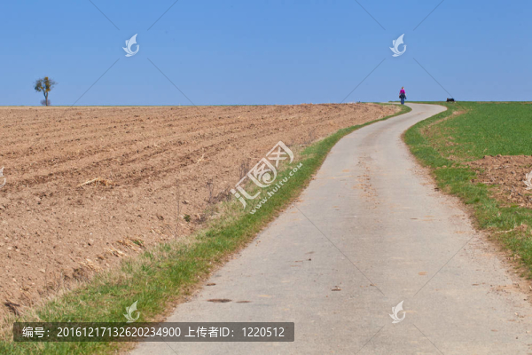 在鄉(xiāng)間散步