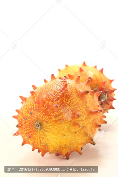 刺角瓜