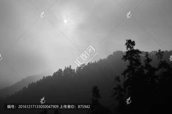 山林