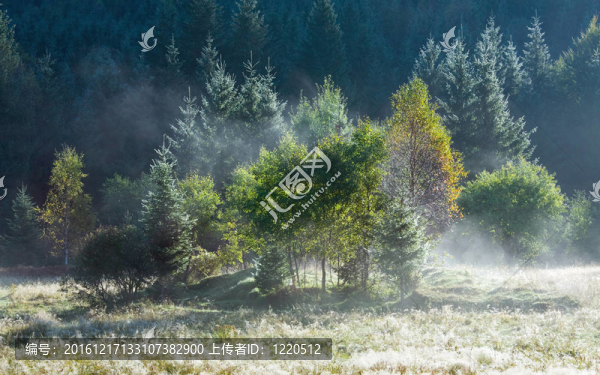 晨霧秋色山景觀