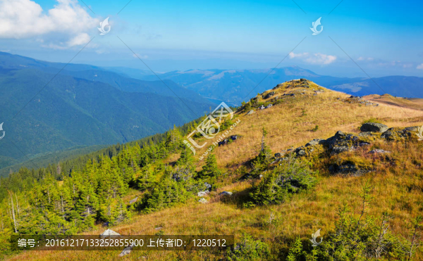 tarcu山