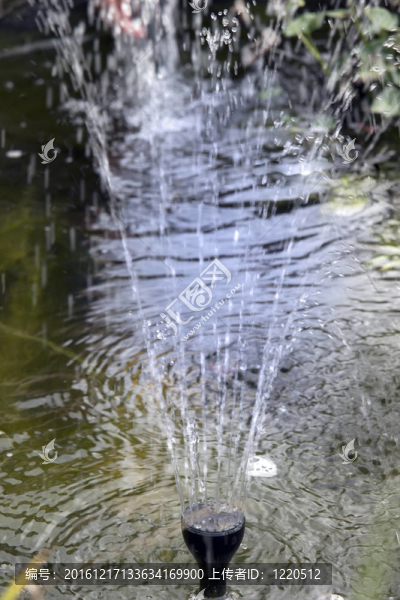 池塘的水噴頭